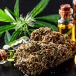 Правительство исключило каннабис, его смолу, экстракты и настойки из перечня особо опасных веществ