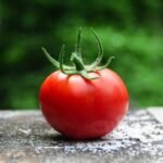 Помидоры ежедневно – как их употребление отразится на здоровье