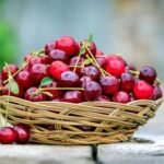 Полезные свойства вишни для организма