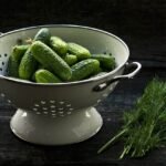 Почему полезно есть огурцы каждый день