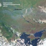 Не смог, а именно задымление: в Укргидрометцентре рассказали, что вызвало распространение дыма на Киевщине