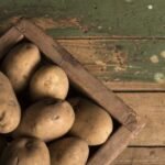 Чем полезен картофель и как он может навредить здоровью