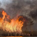 В Сумах задымленность из-за спровоцированных вражескими обстрелами пожаров — ОВА