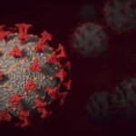 COVID-19 возник не в лаборатории — ученые наконец-то поставили точку в спорах