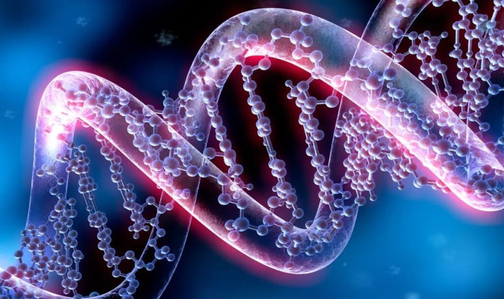 Ученые обнаружили, почему людям трудно удерживать вес после похудения