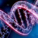 Ученые обнаружили, почему людям трудно удерживать вес после похудения