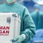 311 почек, 93 печени и 63 сердца: в Украине провели рекордное количество трансплантаций