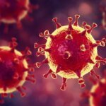 В ВОЗ уверяют, что метапневмовирус из Китая не представляет угрозы