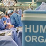 Более 3,5 тысячи украинцев ждут трансплантации — Минздрав