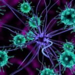 Новый вирус, похожий на COVID-19, обнаружили в нескольких странах – какие у него симптомы