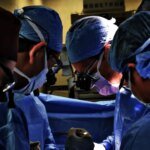 Трансплантация органов свиней: в США стартуют клинические испытания