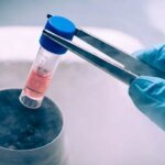 Военнослужащие смогут бесплатно хранить репродуктивные клетки: что известно