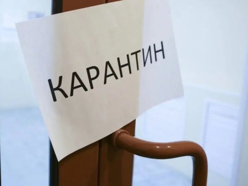 «Локальный карантин»: в 16 областях вводят ограничения из-за гриппа и ОРВИ