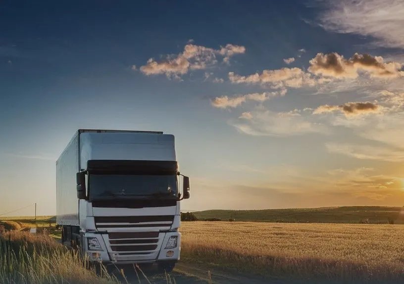 Ящур: Украина ограничила импорт из Венгрии из-за вспышки опасной болезни животных