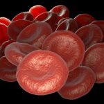 Ученые обнаружили новую группу крови после 50 лет исследований