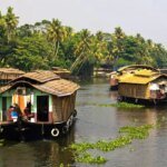 В Индии вспышка редкой формы энцефалита: в штате Керала уже 19 смертей