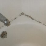 Плесень в ванной: причины, способы удаления и профилактика