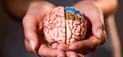 Топ-5 правил идеального завтрака для максимальной работы мозга