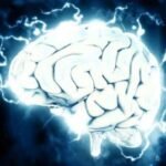 Как 6 минут интенсивных упражнений влияют на мозг и риск болезни Альцгеймера