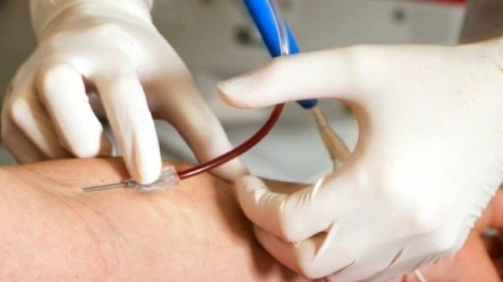 Лицензии на заготовку и тестирование донорской крови получили 19 субъектов системы крови