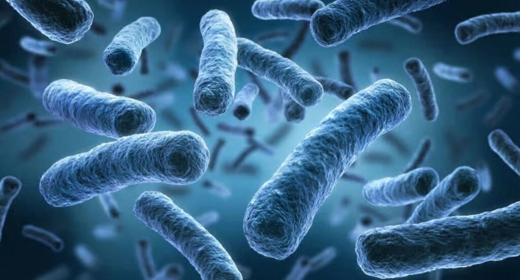 Отчет ВОЗ: устойчивость к антибиотикам значительно возросла в мире, за 5 лет скорость на уровне плюс 40%