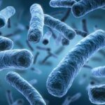 Отчет ВОЗ: устойчивость к антибиотикам значительно возросла в мире, за 5 лет скорость на уровне плюс 40%