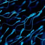 Когда сперма начинает "портиться": ученые определили опасный возраст для отцовства