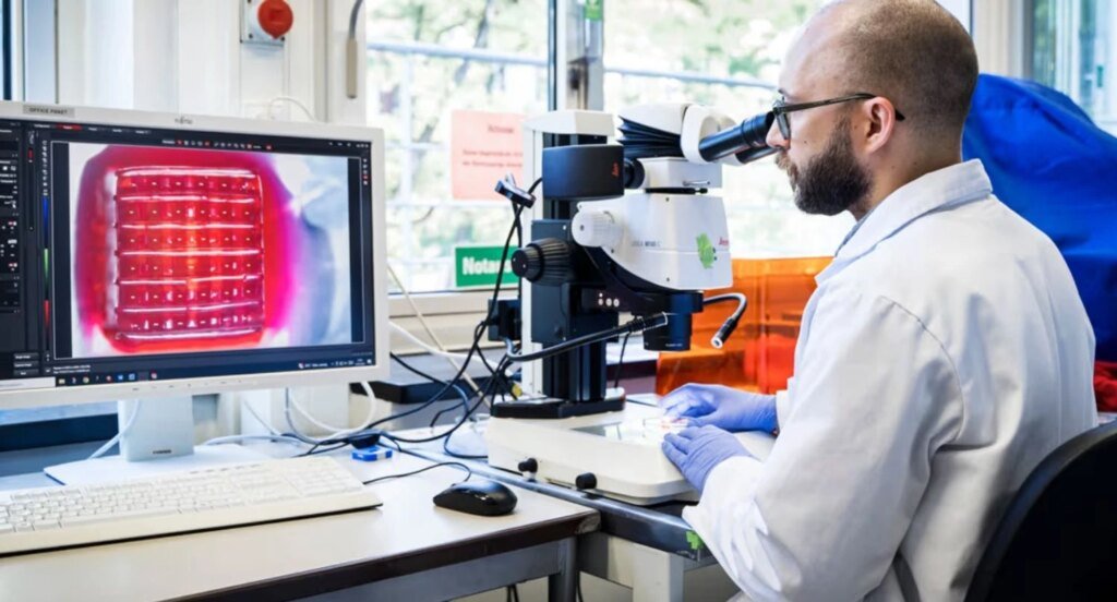 Технологический прорыв в новых методах лечения: исследователи успешно вырастили мышечную ткань в условиях невесомости