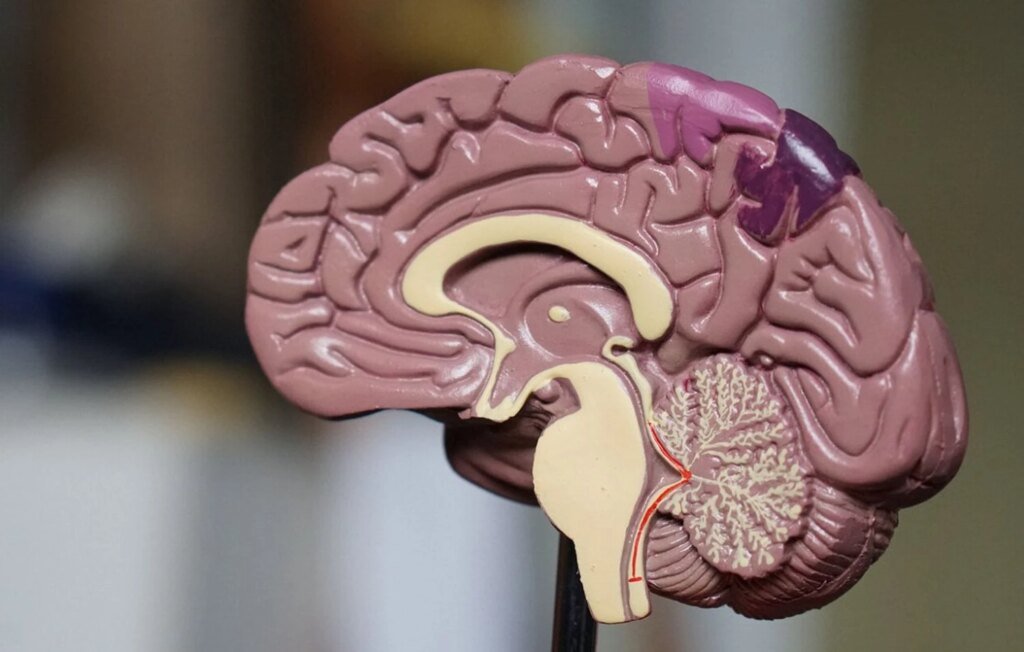 Хирурги США и Великобритании провели первую трансатлантическую операцию по удалению тромба роботом