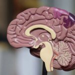 Хирурги США и Великобритании провели первую трансатлантическую операцию по удалению тромба роботом