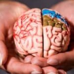 Почему мозг зацикливается на негативе: три причины по версии психолога