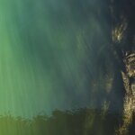 В Индии 9 погибших и 200 пострадавших из-за загрязненной воды