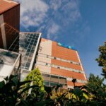 Платформу, созданную для того, чтобы пациенты делились своими историями о лечении в скандальной клинике Odrex, снова заблокировали