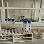 В Украине заработала единственная лаборатория полярной биологии